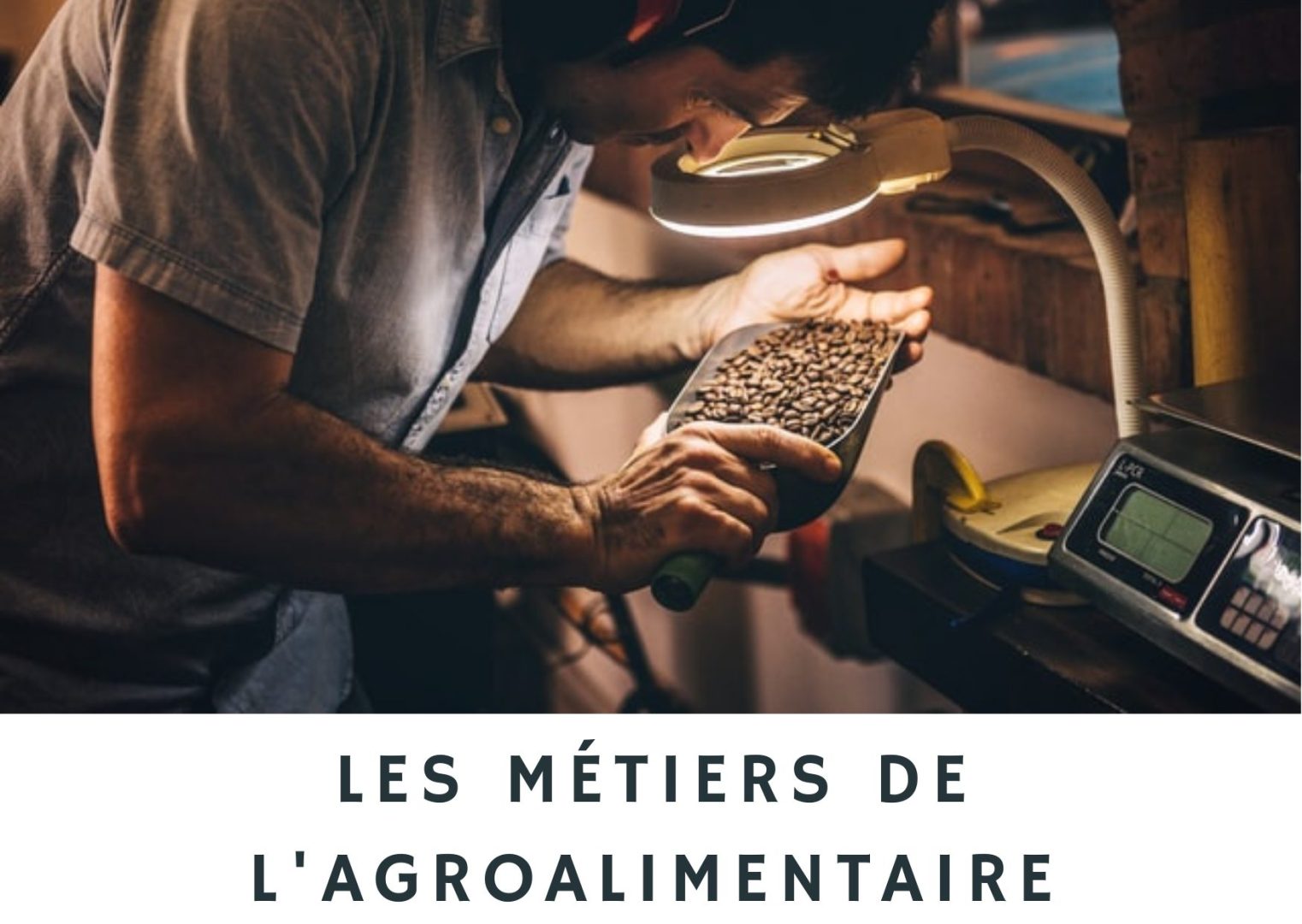 Se former et trouver son métier dans l’agroalimentaire