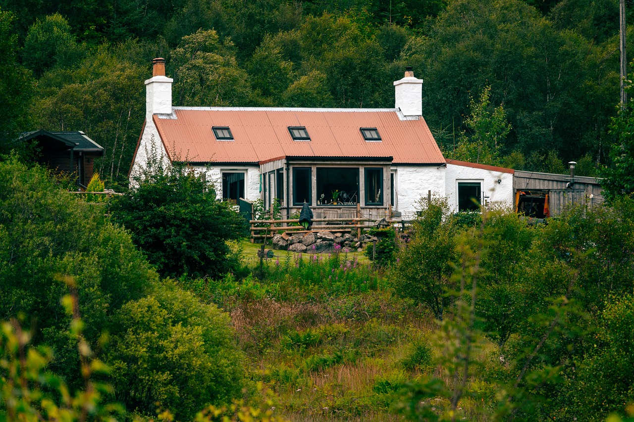 Les meilleures formations pour devenir ramoneur : guide complet