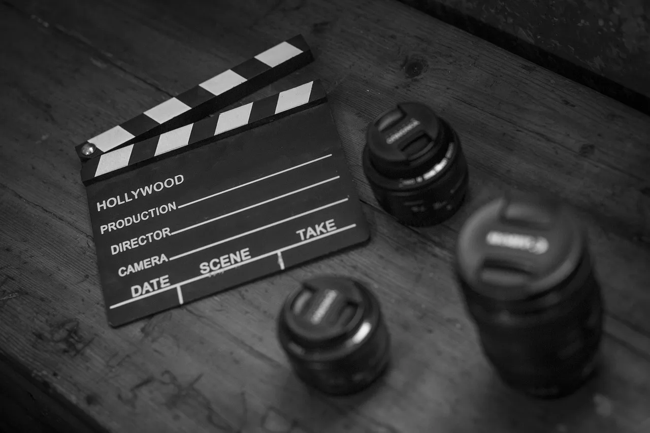 Les différentes formations qui existent dans le secteur du cinéma
