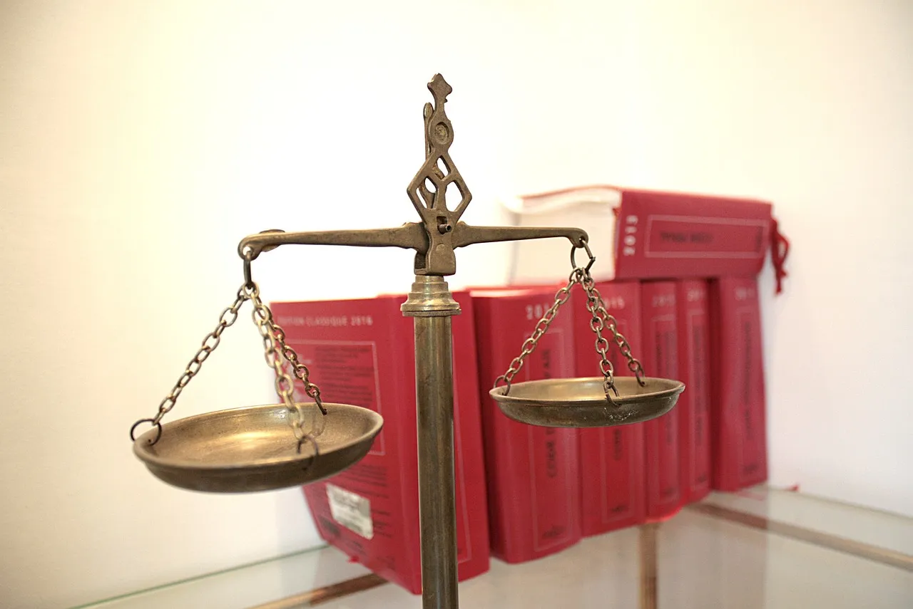 Les problématiques classiques sur lesquels portent le droit des sociétés
