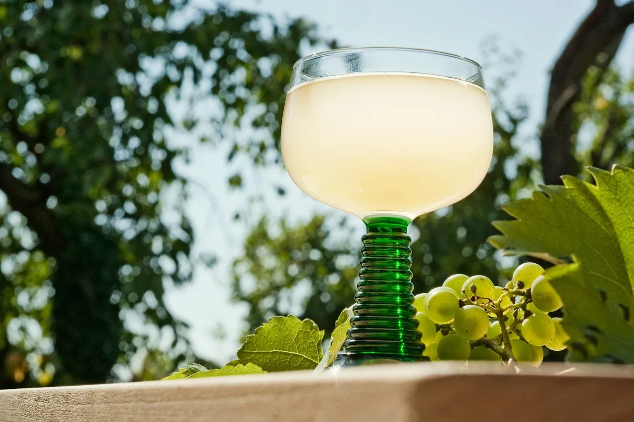À la découverte des vignerons des pierres dorées et des délices du Beaujolais