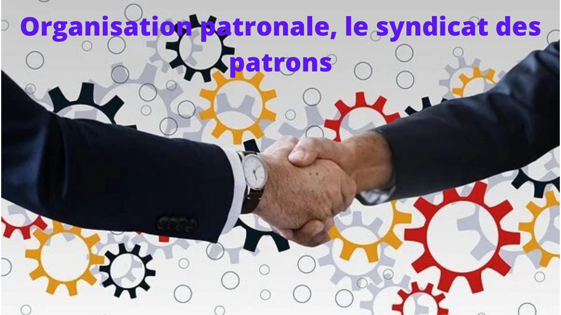 Organisations patronales et syndicats patronaux, des entités protectrices des patrons