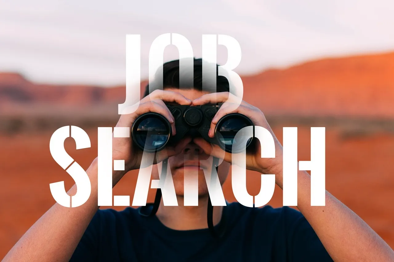 Comment chercher du travail ?